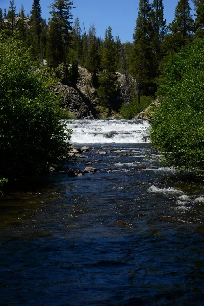 DSC_9914 (Large).JPG